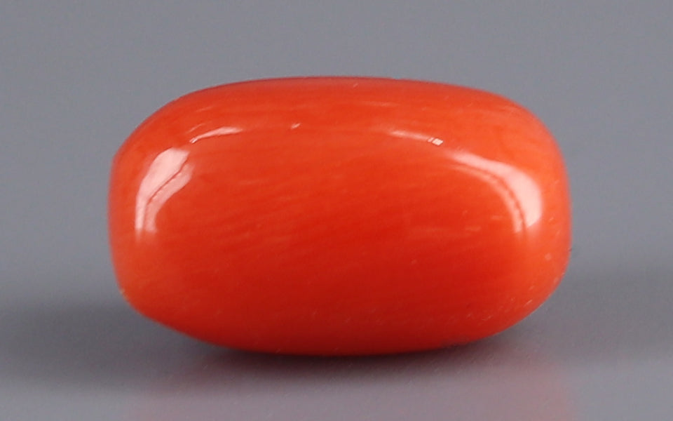 Red Coral - 5.07 Carat (5.60 Ratti - Moonga)