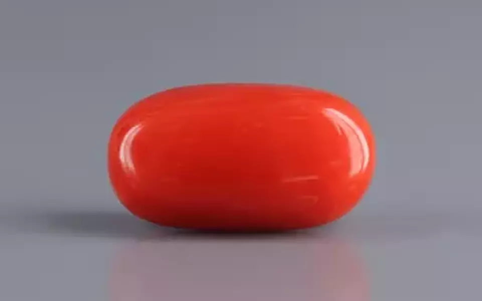 Red Coral - 5.09 Carat (5.62 Ratti - Moonga)
