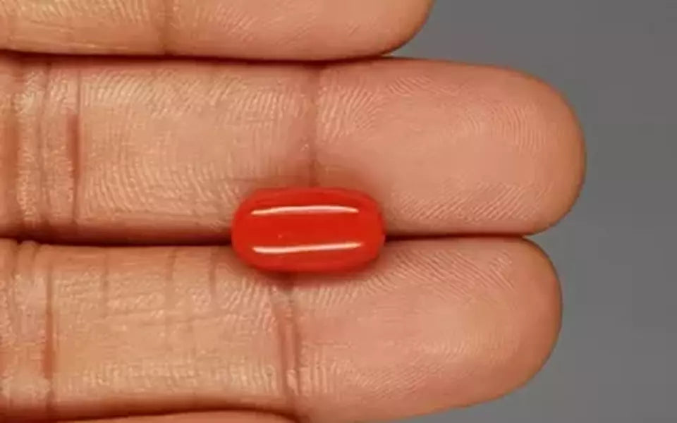 Red Coral - 5.09 Carat (5.62 Ratti - Moonga)