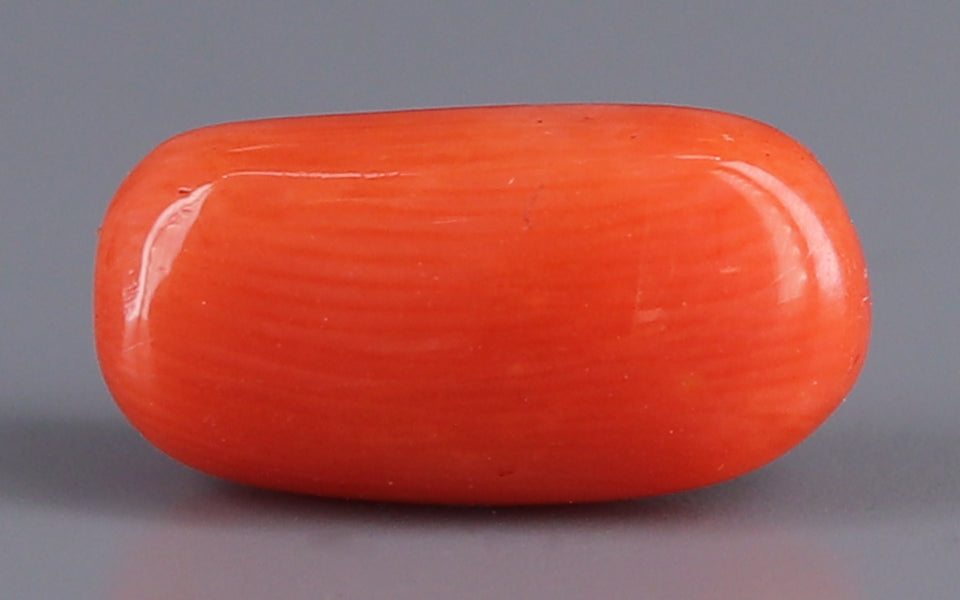 Red Coral - 5.14 Carat (5.68 Ratti - Moonga)