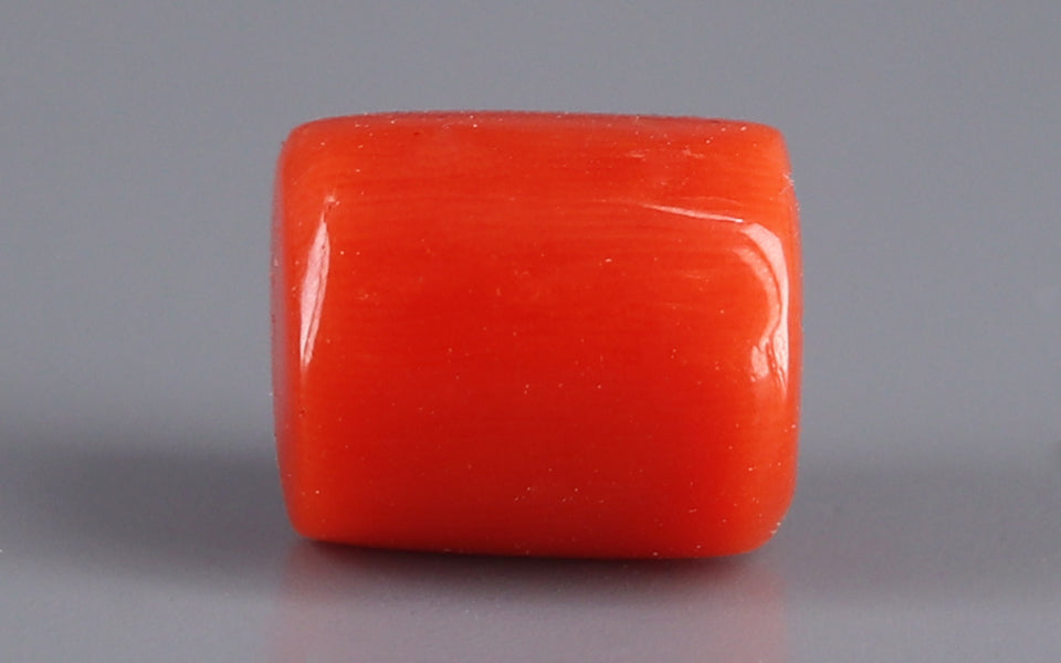 Red Coral - 5.23 Carat (5.78 Ratti - Moonga)