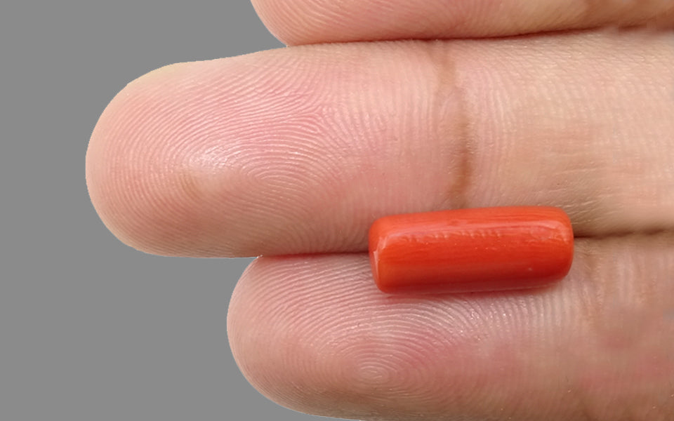 Red Coral - 5.26 Carat (5.81 Ratti - Moonga)