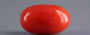 Red Coral - 5.26 Carat (5.81 Ratti - Moonga)