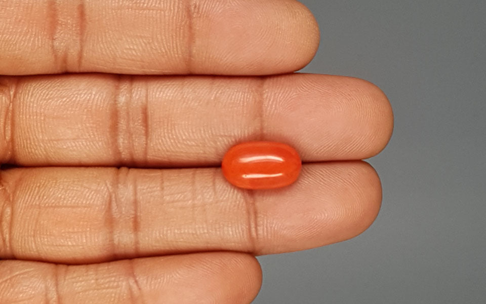 Red Coral - 5.28 Carat (5.83 Ratti - Moonga)