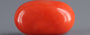 Red Coral - 5.28 Carat (5.83 Ratti - Moonga)