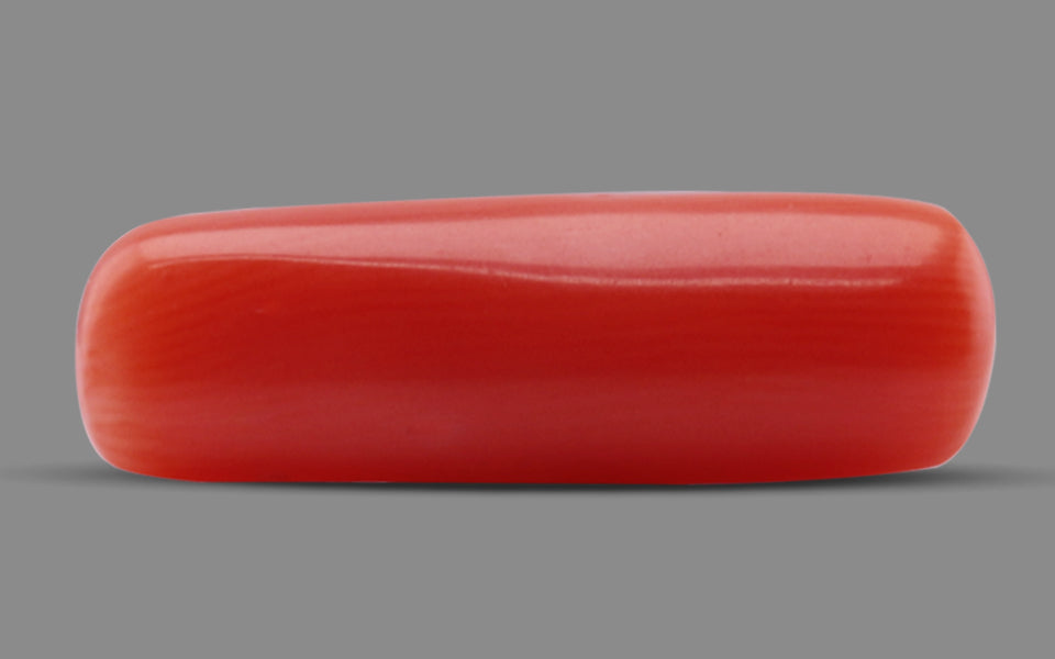 Red Coral - 5.32 Carat (5.88 Ratti - Moonga)