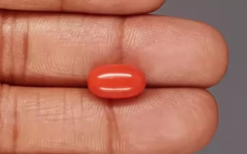 Red Coral - 5.37 Carat (5.93 Ratti - Moonga)