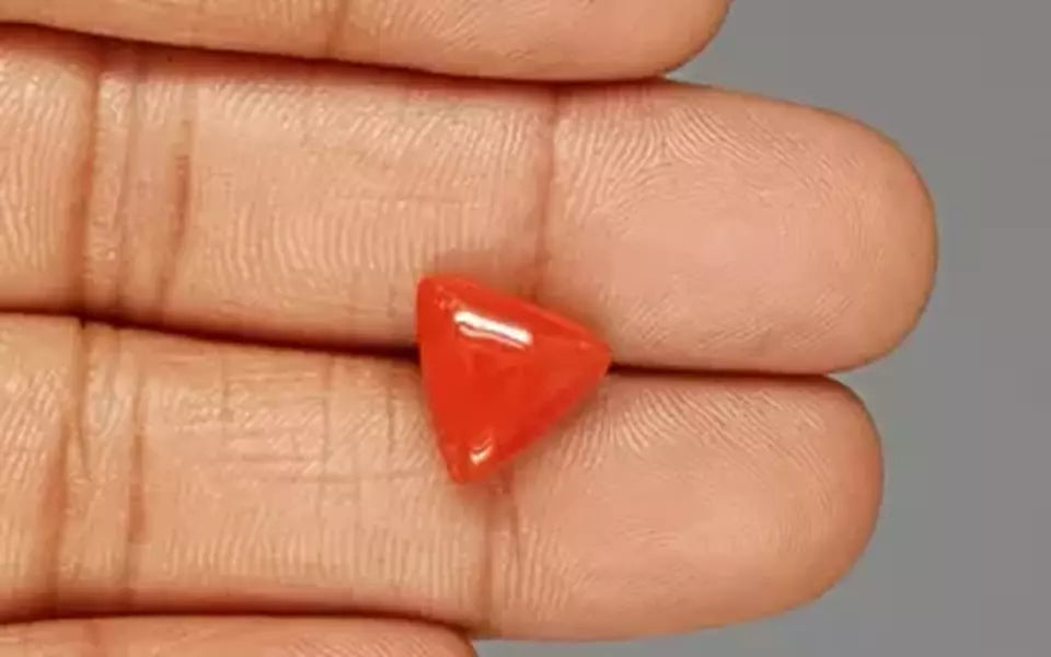 Italian Red Coral - 5.37 Carat Rare Quality TC-5336