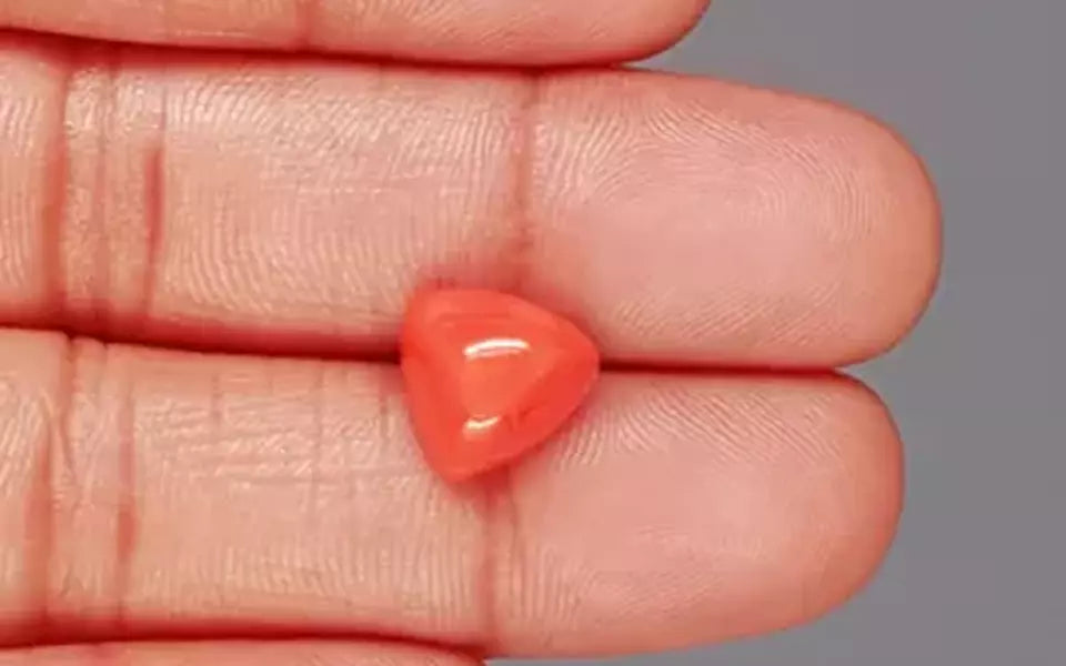 Red Coral - 5.47 Carat (6.04 Ratti - Moonga)