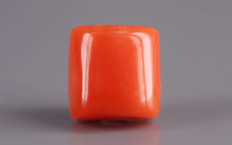 Red Coral - 5.53 Carat (6.11 Ratti - Moonga)