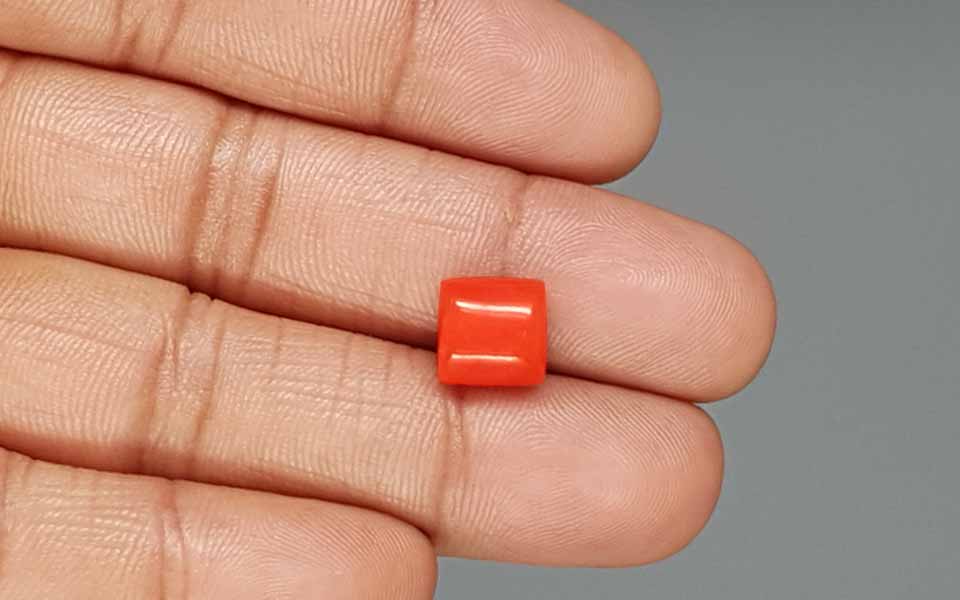 Red Coral - 5.53 Carat (6.11 Ratti - Moonga)