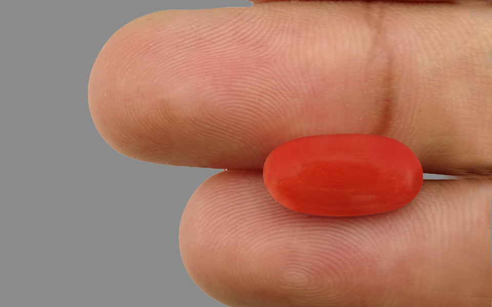 Red Coral - 5.59 Carat (6.18 Ratti - Moonga)