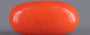 Red Coral - 5.59 Carat (6.18 Ratti - Moonga)