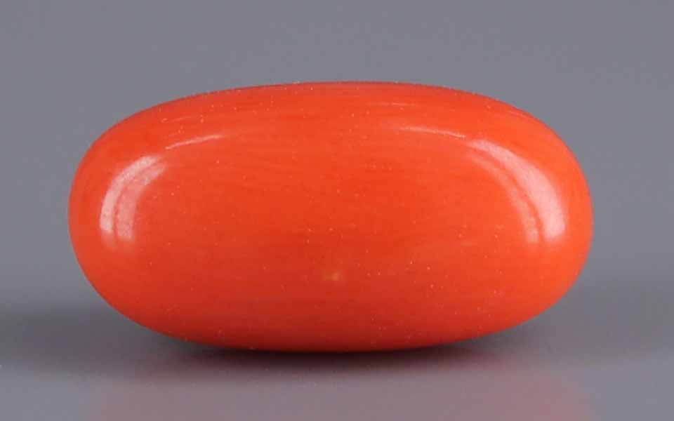 Red Coral - 5.59 Carat (6.18 Ratti - Moonga)