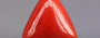Italian Red Coral - 5.66 Carat Rare Quality TC-5346