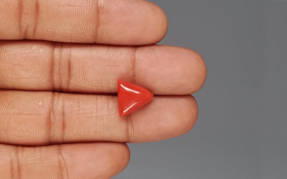 Italian Red Coral - 5.68 Carat Limited Quality TC-5369
