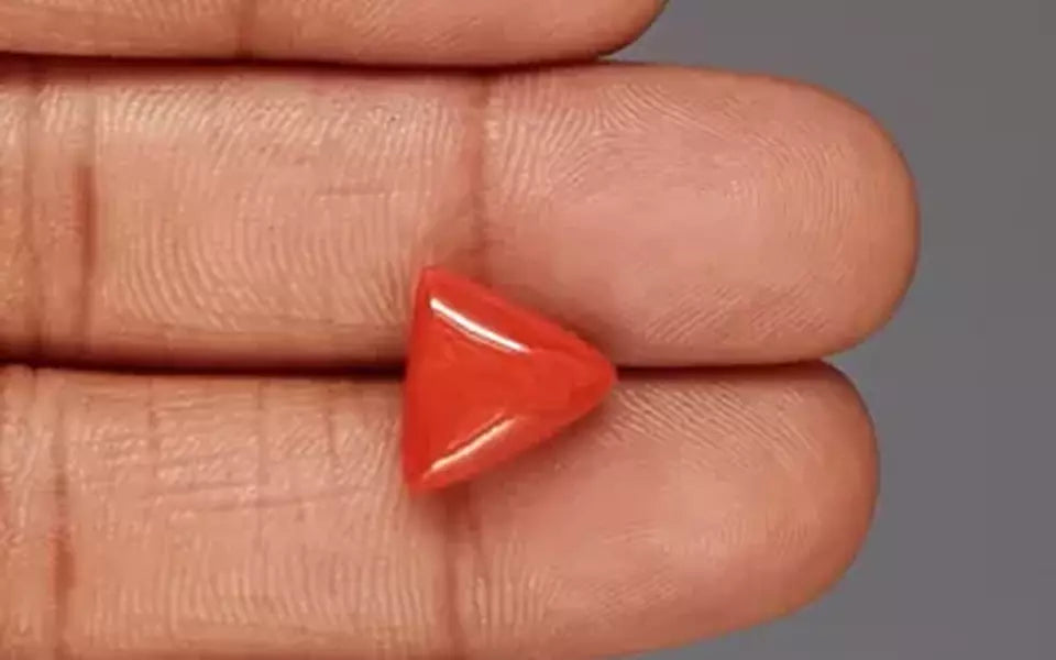 Red Coral - 5.72 Carat (6.32 Ratti - Moonga)