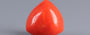 Italian Red Coral - 5.77 Carat Prime Quality TC-5404