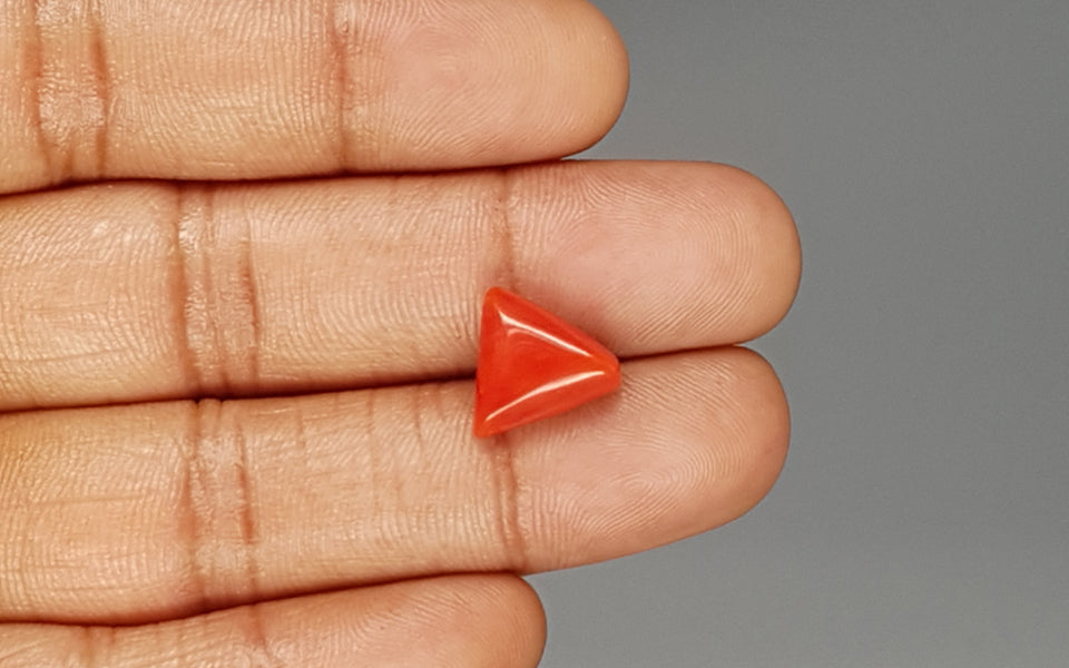Red Coral - 5.93 Carat (6.55 Ratti - Moonga)