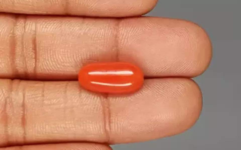Italian Red Coral - 5.93 Carat Rare Quality CC-5818