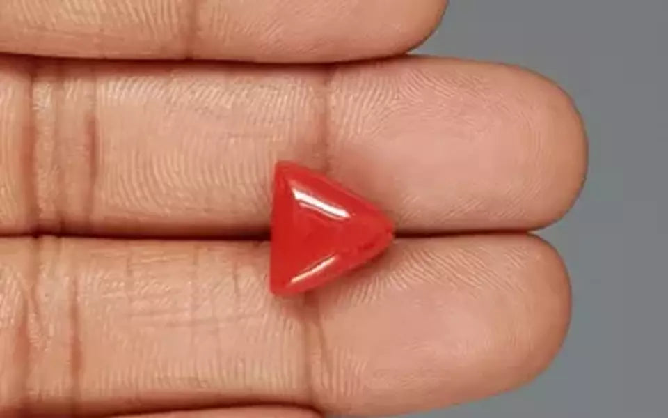 Red Coral - 5.95 Carat (6.57 Ratti - Moonga)