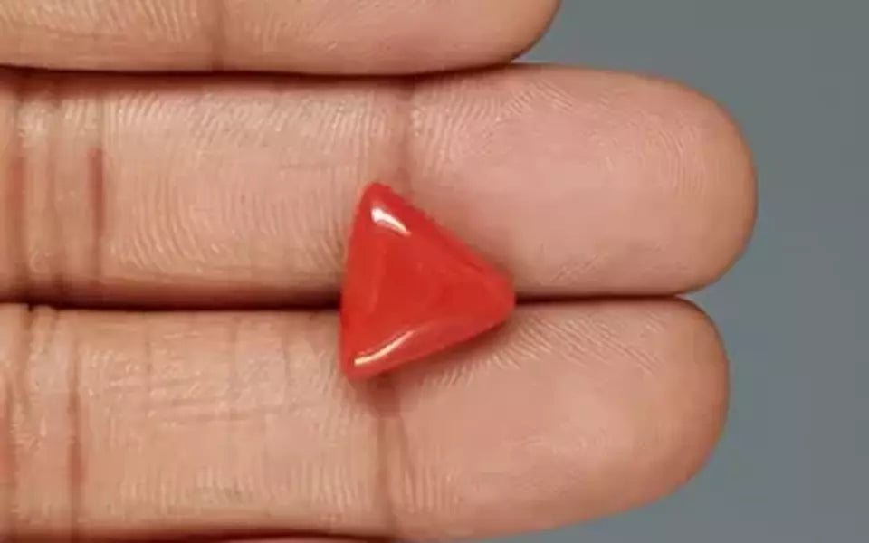 Red Coral - 5.96 Carat (6.59 Ratti - Moonga)