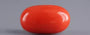 Italian Red Coral - 5.96 Carat Rare Quality CC-5839
