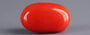 Italian Red Coral - 5.97 Carat Rare Quality CC-5817