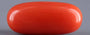 Red Coral - 6.00 Carat (6.63 Ratti - Moonga)