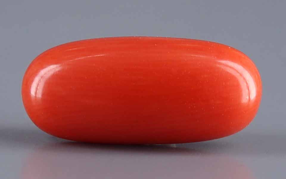 Red Coral - 6.00 Carat (6.63 Ratti - Moonga)