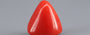 Red Coral - 6.04 Carat (6.67 Ratti - Moonga)
