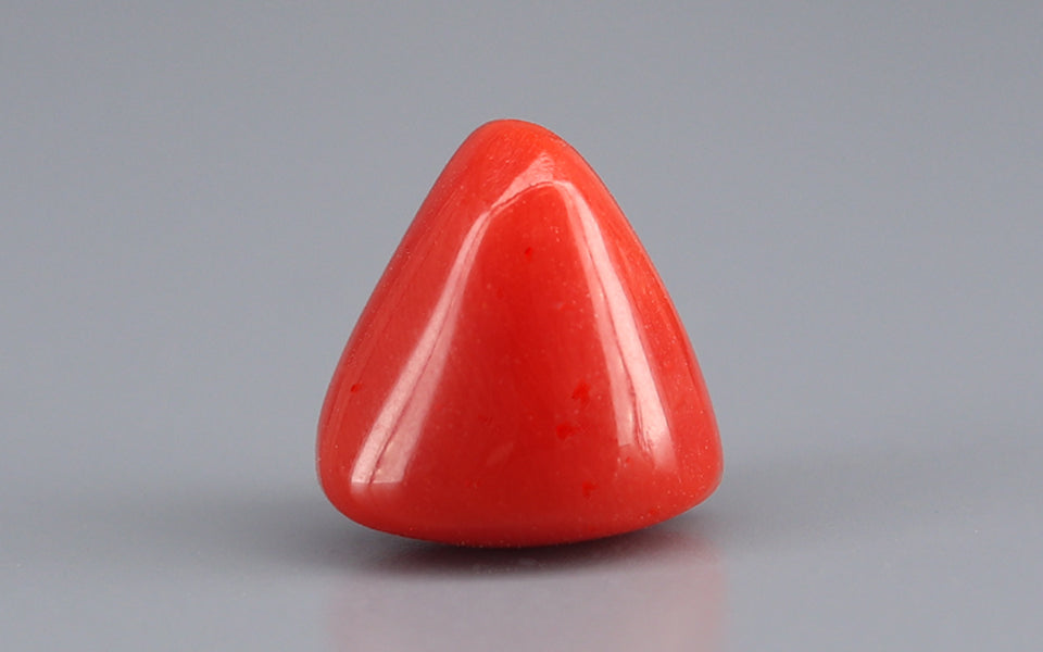 Red Coral - 6.04 Carat (6.67 Ratti - Moonga)