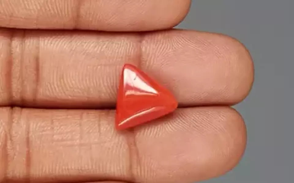 Red Coral - 6.09 Carat (6.73 Ratti - Moonga)