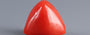Italian Red Coral - 6.11 Carat Prime Quality TC-5394