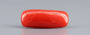 Red Coral - 6.12 Carat (6.76 Ratti - Moonga)