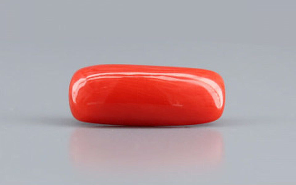 Red Coral - 6.12 Carat (6.76 Ratti - Moonga)