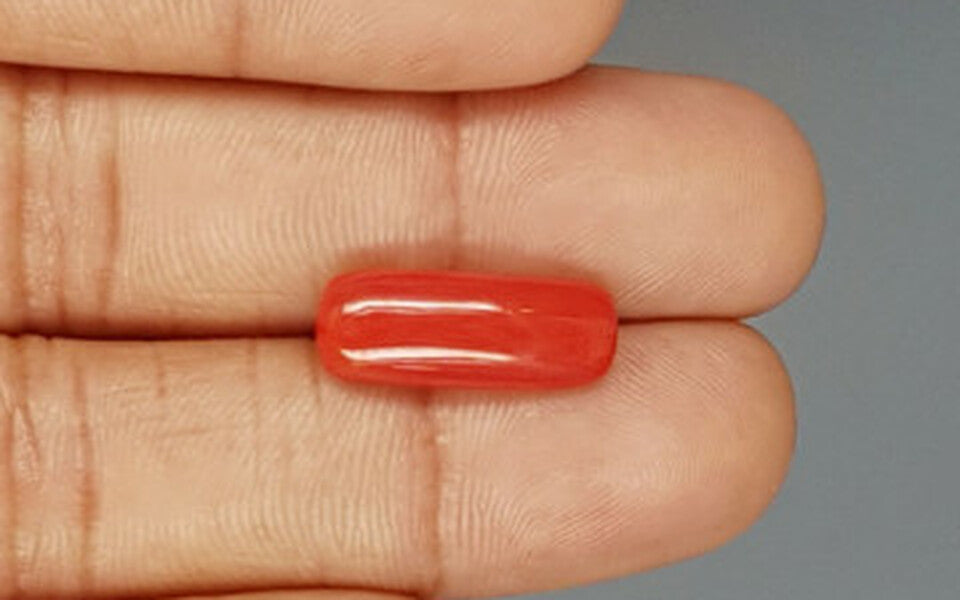 Red Coral - 6.12 Carat (6.76 Ratti - Moonga)