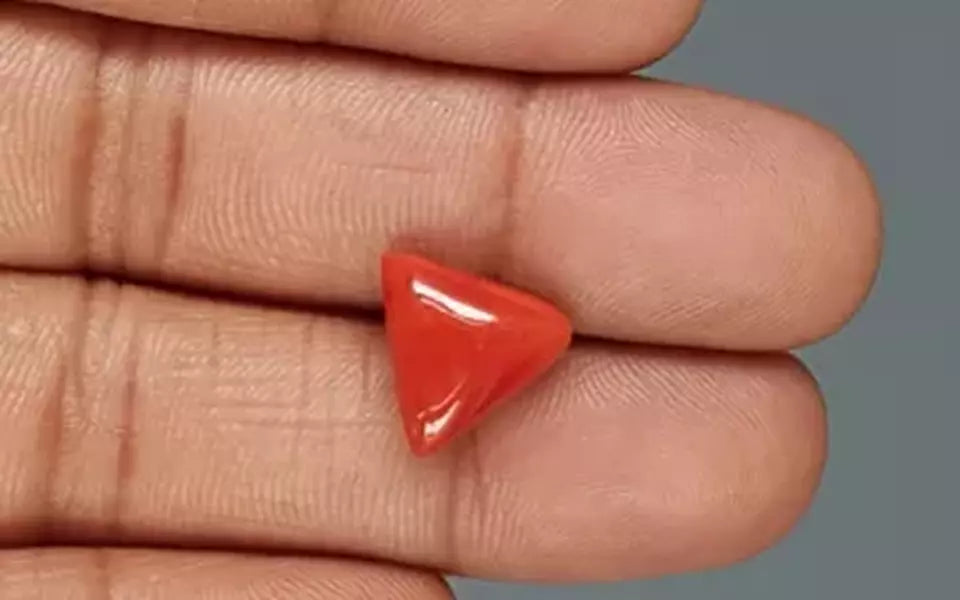 Red Coral - 6.14 Carat (6.78 Ratti - Moonga)