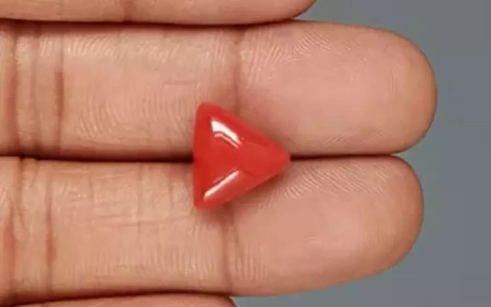 Red Coral - 6.17 Carat (6.82 Ratti - Moonga)