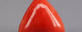 Italian Red Coral - 6.20 Carat Rare Quality TC-5357
