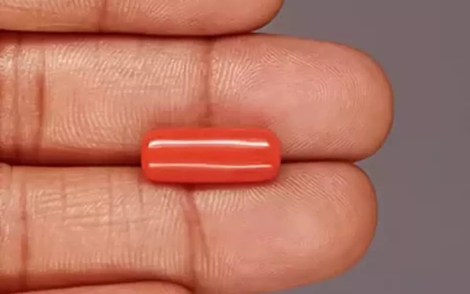 Red Coral - 6.21 Carat (6.86 Ratti - Moonga)