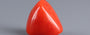 Italian Red Coral - 6.23 Carat Prime Quality TC-5401