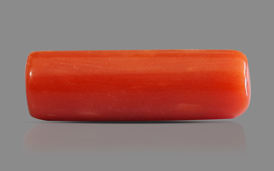 Red Coral - 6.43 Carat (7.10 Ratti - Moonga)