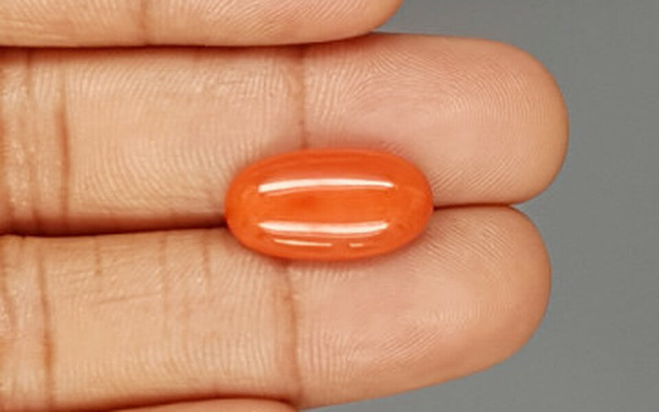 Red Coral - 6.44 Carat (7.12 Ratti - Moonga)