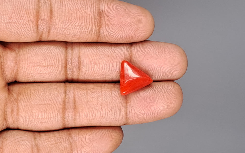 Red Coral - 6.48 Carat (7.16 Ratti - Moonga)