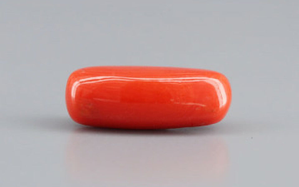 Red Coral - 6.50 Carat (7.18 Ratti - Moonga)