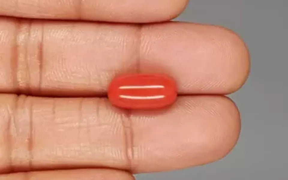 Italian Red Coral - 6.5 Carat Rare Quality CC-5831