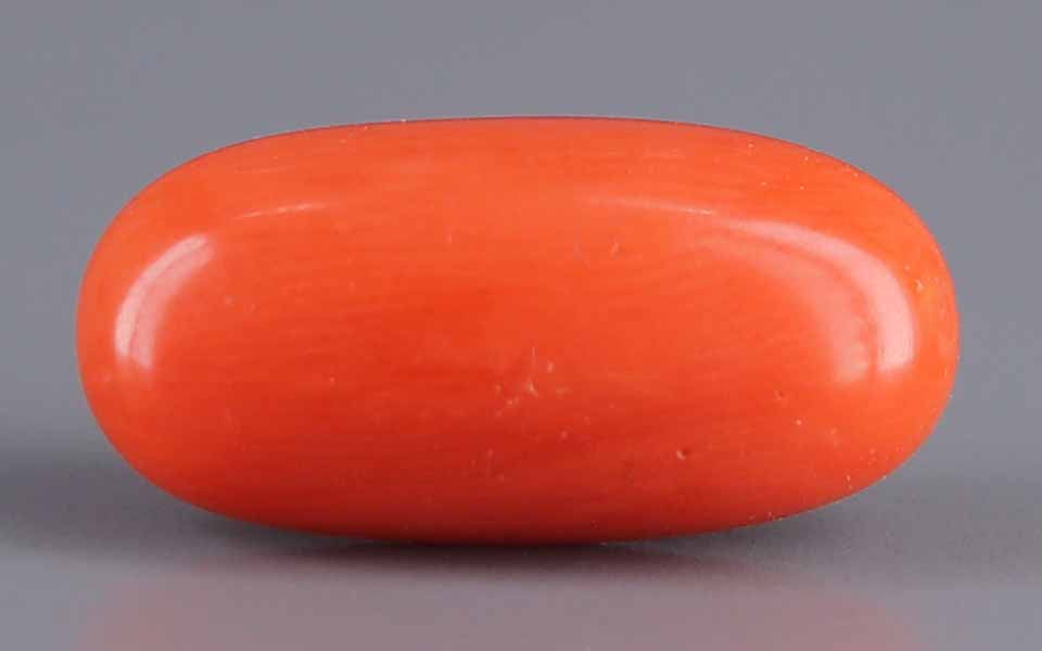 Red Coral - 6.52 Carat (7.20 Ratti - Moonga)
