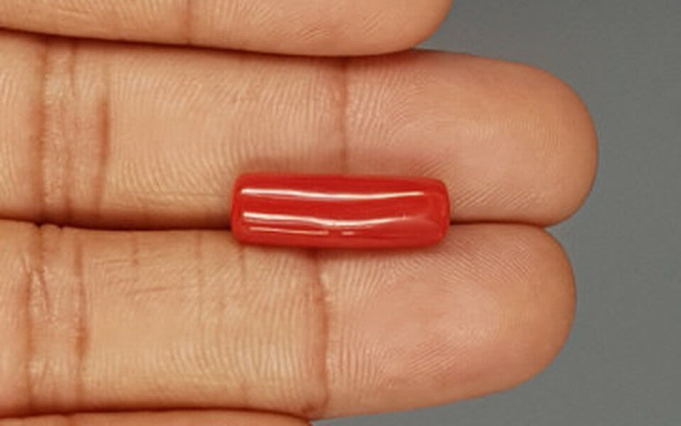Italian Red Coral - 6.72 Carat Prime Quality CC-5769
