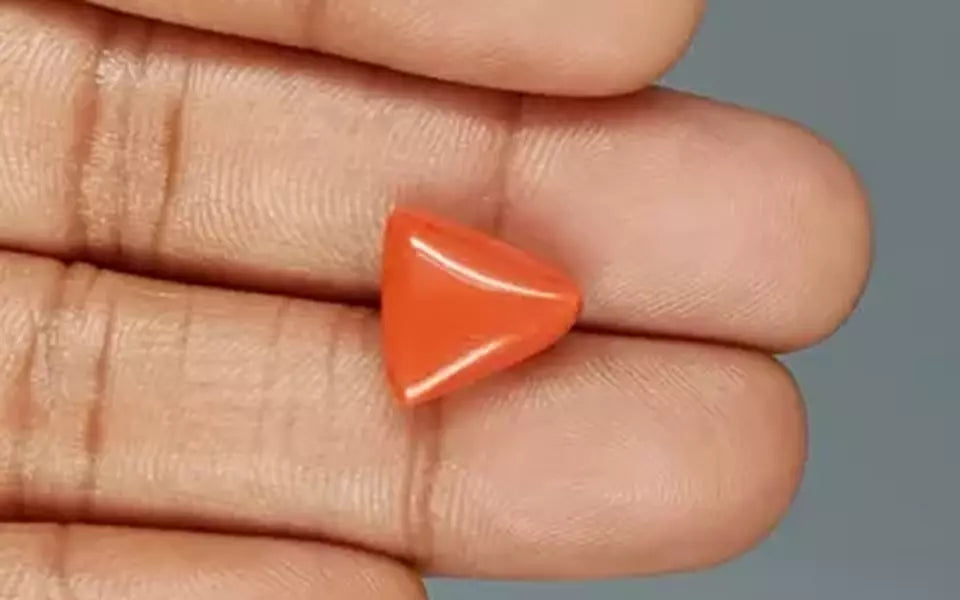 Red Coral - 6.73 Carat (7.44 Ratti - Moonga)